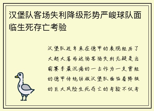 汉堡队客场失利降级形势严峻球队面临生死存亡考验
