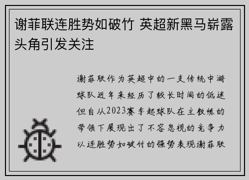谢菲联连胜势如破竹 英超新黑马崭露头角引发关注